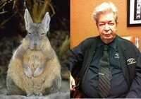 Strakke Doe-het-zelf en Verbouw