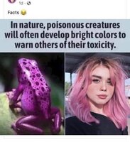 Betrouwbare Honden partij