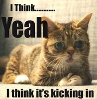 Betrouwbare Kleding | Heren