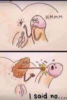 Betrouwbare Dakdragers partij