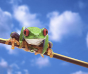 Betrouwbare Beelden partij