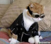 Strakke Computers en Software