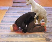 Betrouwbare Sieraden, Tassen en Uiterlijk