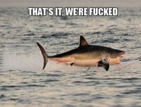 Frisse Theater collectie