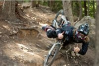 Betrouwbare Koelkasten partij