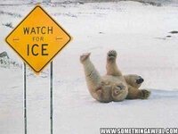 Betrouwbare Laptops partij