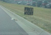 Betrouwbare Racefietsen partij