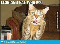 Strakke Auto-onderdelen