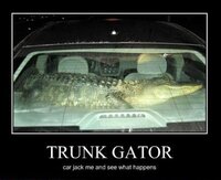 Betrouwbare Beelden partij