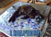 Strakke Tickets en Kaartjes