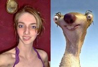 Betrouwbare Honden partij