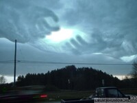 Frisse Beelden collectie