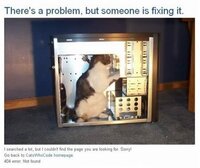 Strakke Stadsfietsen set