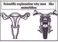 Betrouwbare Sieraden, Tassen en Uiterlijk